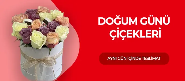 Doğum Günü Çiçekleri